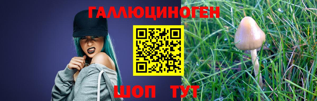 Галлюциногенные грибы ЛСД  Галлюциногенные грибы Psilocybe  Вход с VPN  Усть-Илимск 